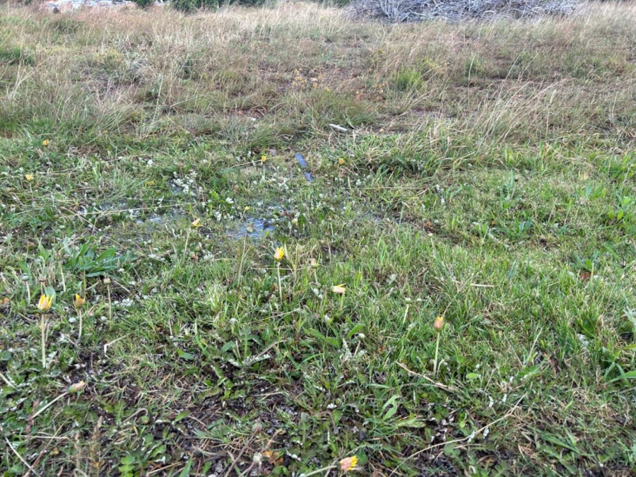 0 Bedroom Property for Sale in Fountains Estate Eastern Cape